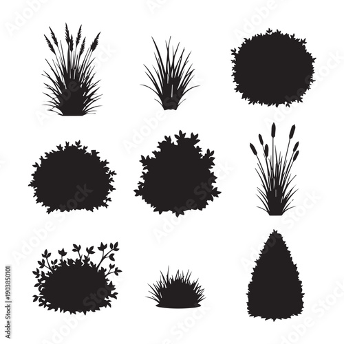 Set of Black Silhouettes of Different Garden Plants and Bushes