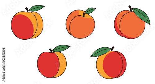 Peach Line art filed color clean design