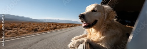 A happy golden retriever with its head out of the car window while driving through a desert landscape