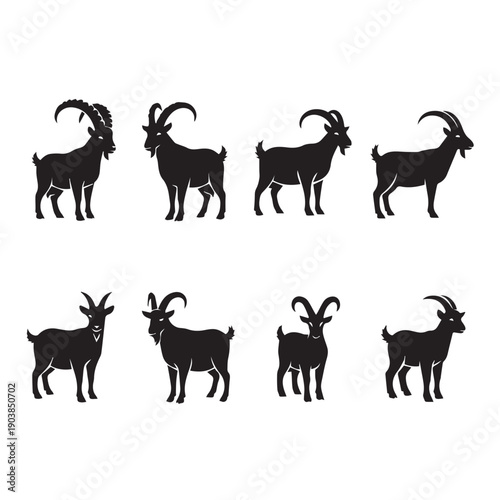 Silhouette Collection of Various Goat Breeds Standing on White Background, Stock Media