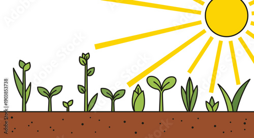 Row of green plant seedlings growing in different stages of development from brown soil under a bright yellow sun, a flat vector illustration on a white background