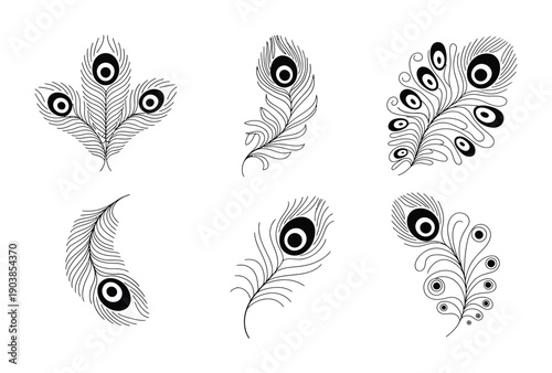 Collection of vector peacock feathers in various artistic designs