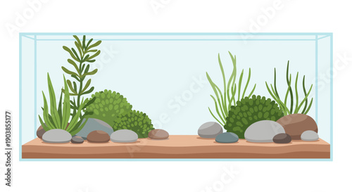 Beautiful empty rectangular glass aquarium aquascape with green aquatic plants, smooth stones, and sand, a vector illustration isolated on a white background