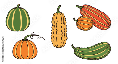 Ridge Gourd Line art filed color trendy design
