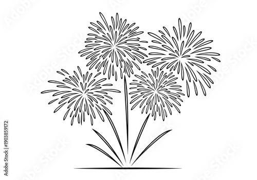 Fireworks illustration in black and white on clean background  