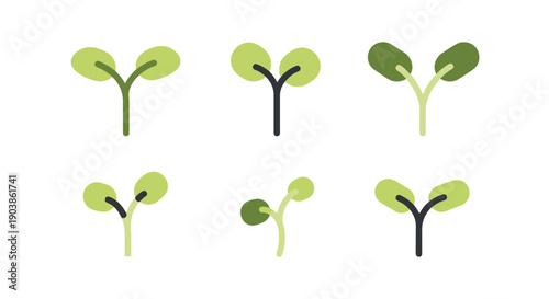 Sprout Line art color modern style