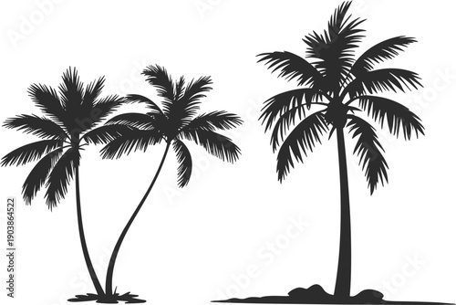 Three tropical palm tree silhouettes isolated on white background for summer beach illustration travel design and exotic nature graphics