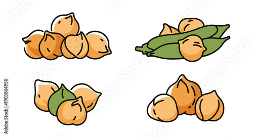 Chickpea Line art color filled modern design