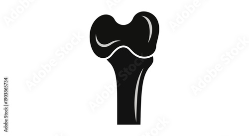 Black silhouette of a human femur bone on a white background.
