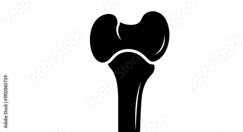 Black silhouette of a human femur bone on a white background.