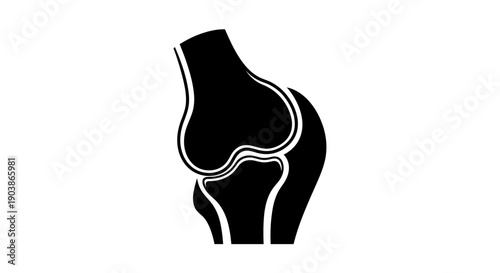 Black and white illustration of a human knee joint anatomy.