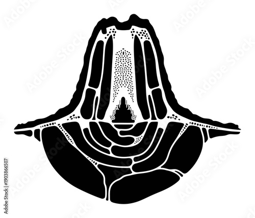 Termite Mound Cross Section - Vector Illustration