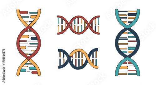 DNA Strand Line art creative color filled design