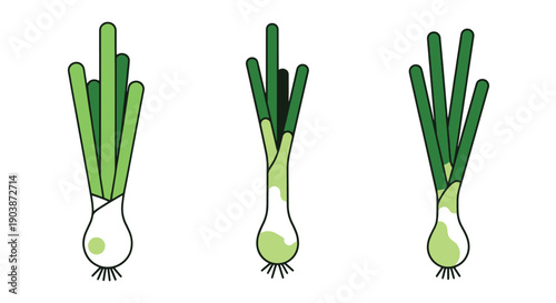 Scallion Line art color flat style
