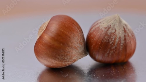  video of a hazelnut in its shell