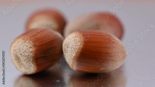  video of a hazelnut in its shell