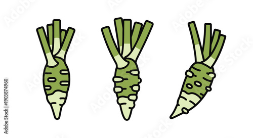 Wasabi Root Line art filed color illustration