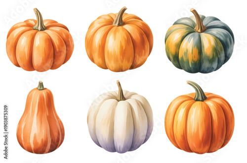 Assorted pumpkins and squash watercolor set isolated on white. Autumn pumpkin watercolor elements for seasonal and holiday design.