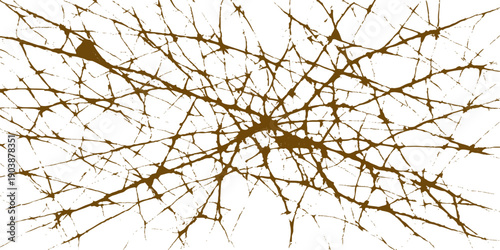 A silhouette of dry tree branches against a beautiful blue winter sky creates a natural abstract pattern of wood and ice in the cold forest season