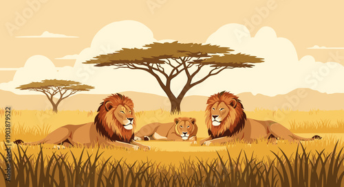 Majestic pride of lions, two males and a lioness, resting calmly in the tall golden grass of a savanna with acacia trees in a flat vector illustration style