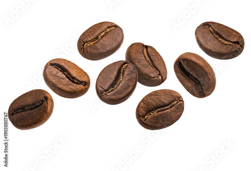 coffee beans Roasted coffee beans Coffee beans piece fly Roasted coffee beans in a placer, a lot of beans lies and levitates Stack Brazilian black coffee beans fresh roasted coffee beans 