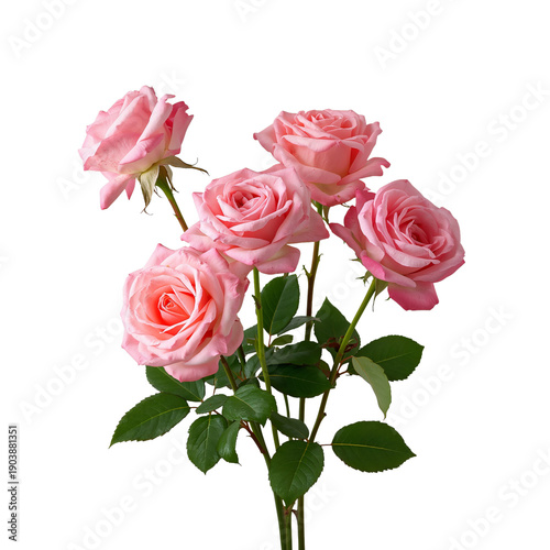 Roses in a Simple Arrangement With Three Pink Flowers and Green Leaves in a P...