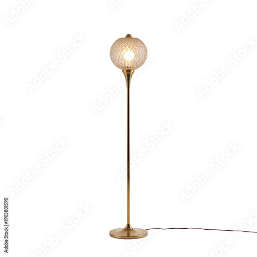 Floor Lamp With a Round Glass Shade Stands on a Metal Base in a Room