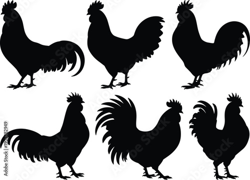 Rooster silhouettes collection, black chicken vector set, farm animal icons, poultry design elements isolated on white background illustration