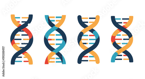DNA Helix Line art color minimal style
