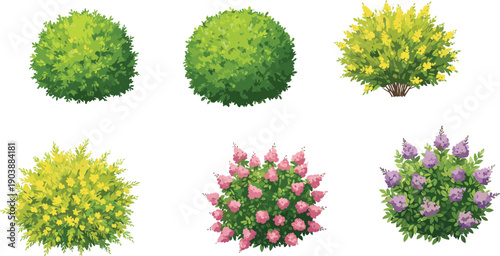 Collection of blooming decorative garden bushes with yellow, pink, and purple flowers, isolated landscape clipart for botanical and outdoor design.