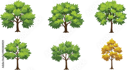 Collection of vibrant maple tree illustrations in various shades of green and autumn yellow, showing seasonal foliage changes.