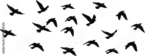 Bird silhouettes, flying flock, wildlife vector, nature illustration, migration concept, freedom design, avian artwork, outdoor scene, animal outline, sky pattern