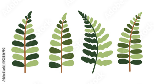 Fern Line art vector digital illustration