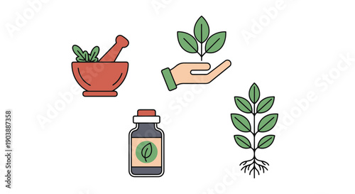 Herbal Medicine Line graphic illustration