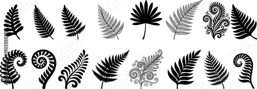 Fern leaf silhouette and ornamental botanical collection featuring decorative foliage, vintage engraving styles, and stylized plant shapes isolated on white background