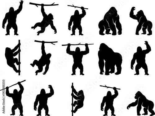 Gorilla silhouette collection featuring powerful action poses, climbing and lifting movements isolated on white background wildlife vector illustration set
