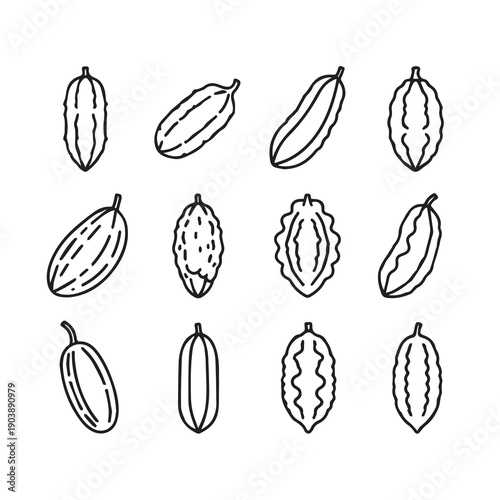 Bitter Melon Vegetable Line Art Icons Set, Hand Drawn Style Illustration