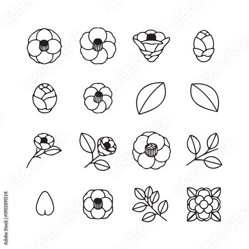 Camellia Flower Icons and Leaves Set, Hand Drawn Vector Line Art
