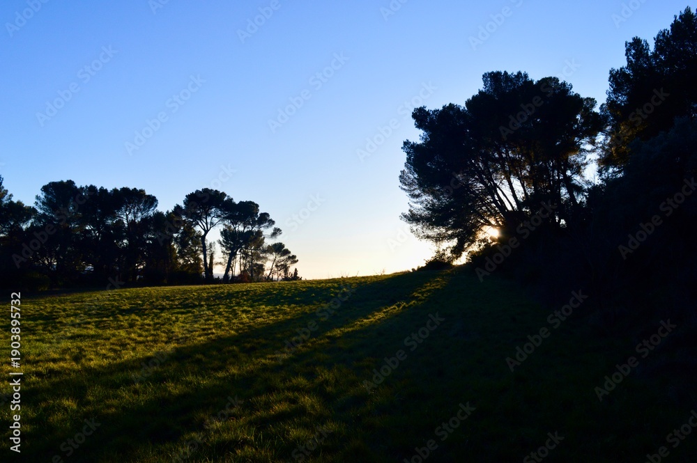 Obraz premium sunset in the countryside