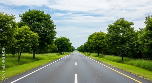 Road Through Forest, Asphalt Way, Trees, Green Scenery, Landscape, Travel, Journey