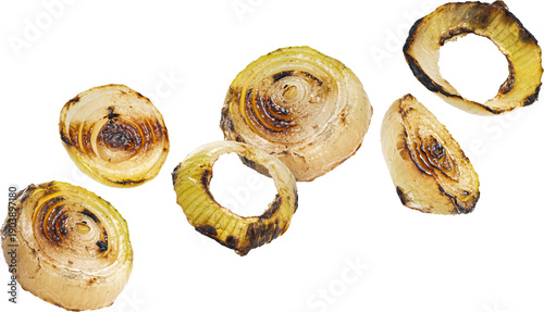 Photos Grilled onion isolated