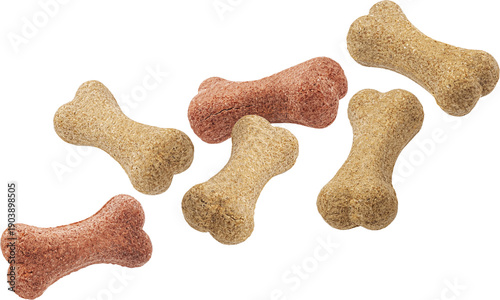 Dry pet food, dog treats bone shape isolated