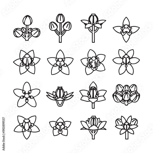 Collection of Flower Bud and Bloom Line Art Icons