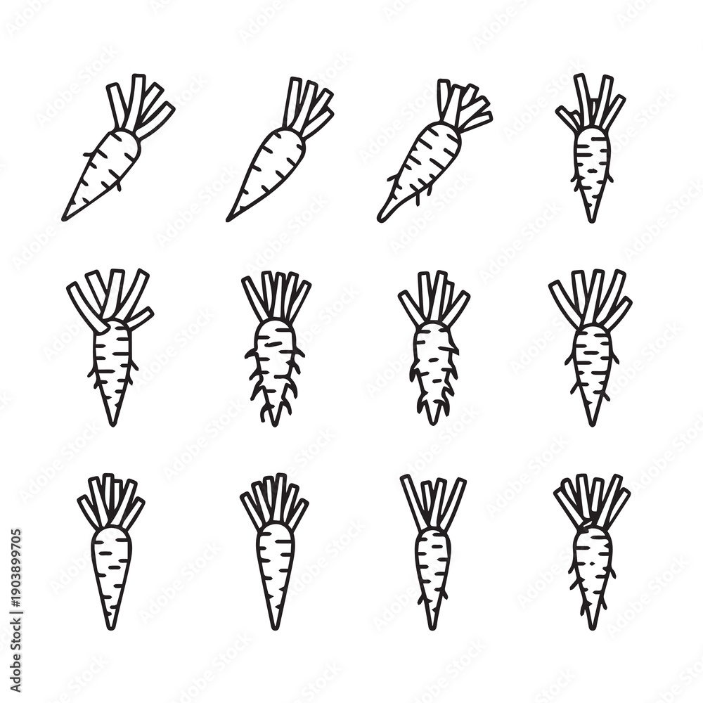 Fototapeta premium Collection of Hand Drawn Carrot Illustrations with Various Root Details on White Background