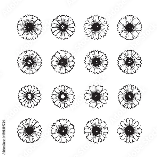 Collection of Hand Drawn Daisy Flower Illustrations on White Background