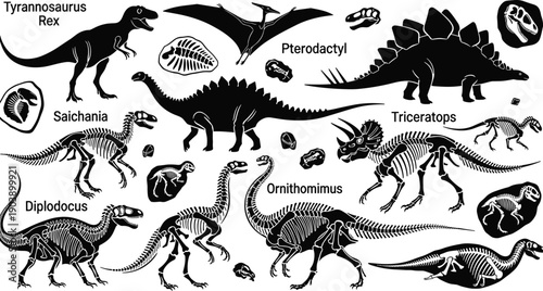 Dinosaur skeleton silhouettes collection, prehistoric reptile fossils vector illustration set isolated on white background for education, museum, science design