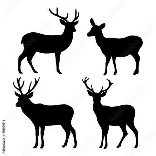 A set of deer silhouettes in various poses on a transparent background