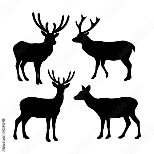 A set of four deer silhouettes standing in different poses on a transparent background