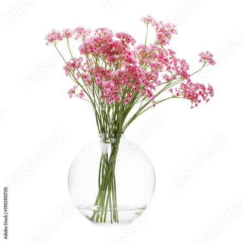 Colorful Flowers in a Clear Vase Displayed on a Table