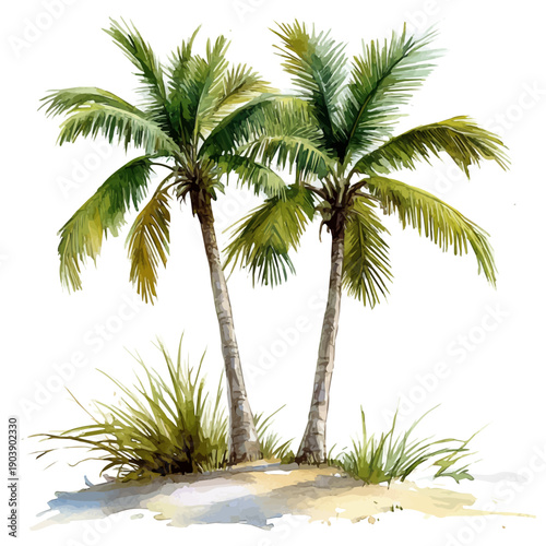 watercolor of Palm Trees Sunny Sky, isolated on a white background.